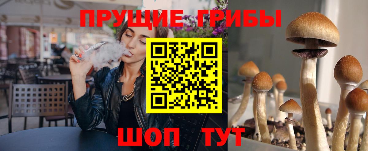 Галлюциногенные грибы GOLDEN TEACHER  Галлюциногенные грибы мухоморы  Архангельск  закладки  Вход с VPN 
