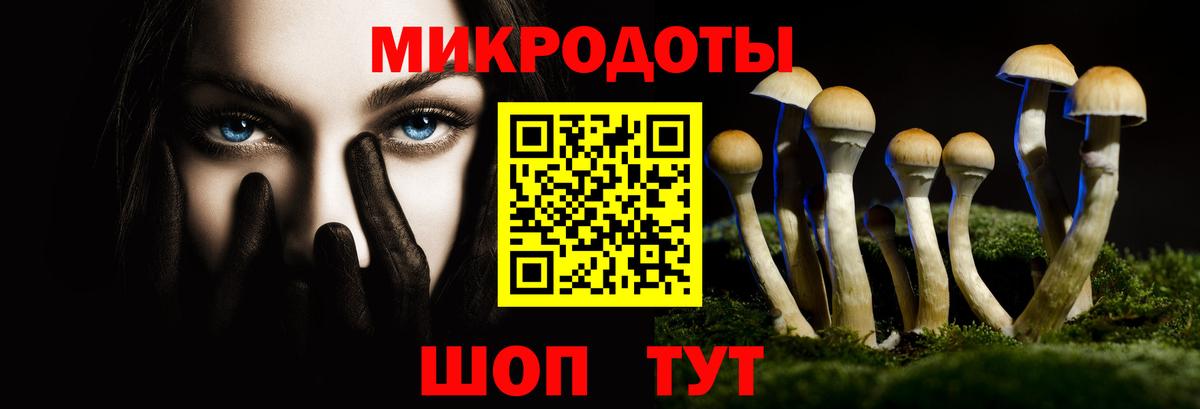 Галлюциногенные грибы Psilocybine cubensis Архангельск